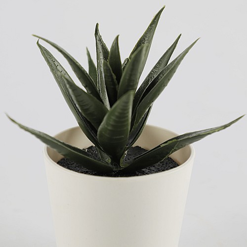 Plantes Succulentes Artificielles En Pot Blanc