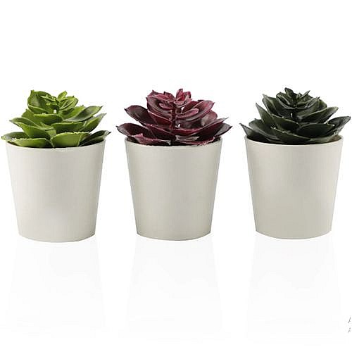 Pack de 3 plantes décoratives artificielles Echeveria